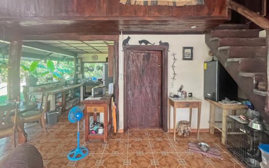 Paradise Found in Los Cielos