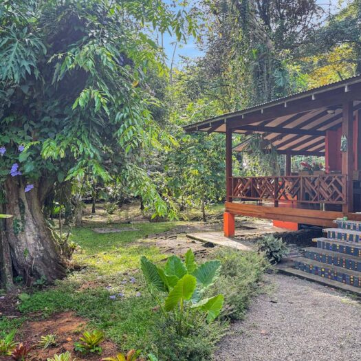 Villa Jungla y Jardin