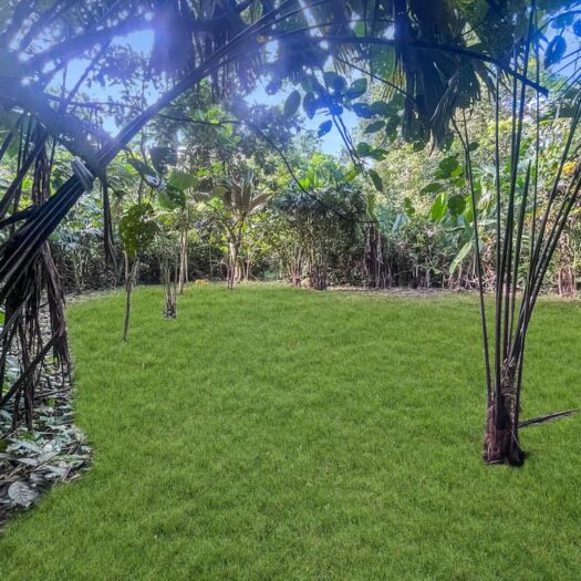 Land for sale – Vida Verde