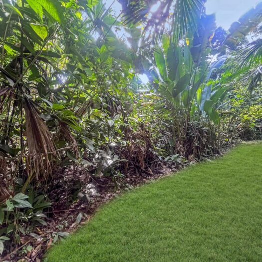 Land for sale – Vida Verde