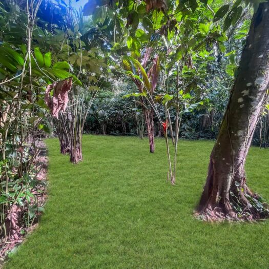 Land for sale – Vida Verde