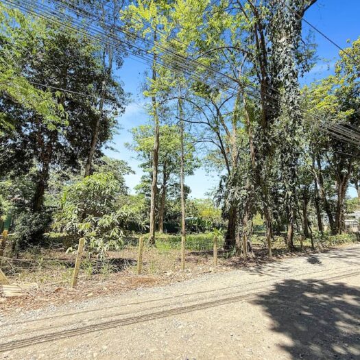 Punto Comercial: Versatile Land with Infinite Potential