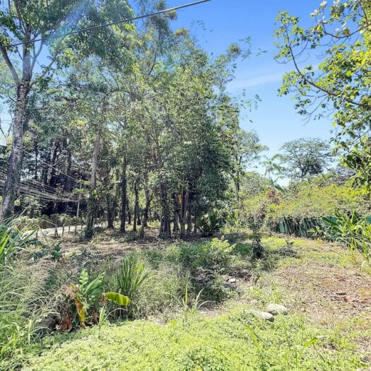 Punto Comercial: Versatile Land with Infinite Potential