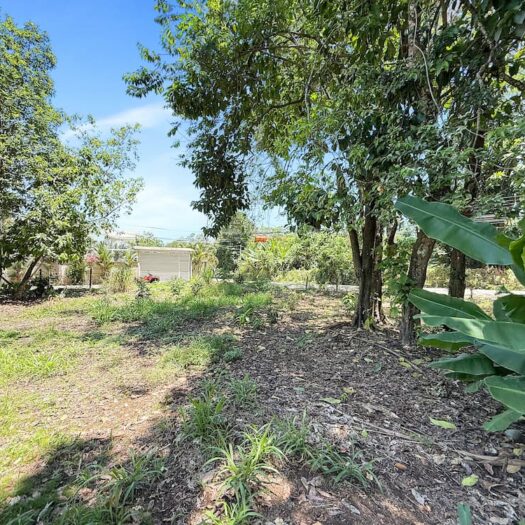 Punto Comercial: Versatile Land with Infinite Potential