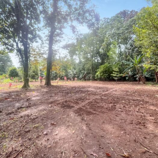 Sendero Vargas: Premium Building Lots Near Cahuita National Park