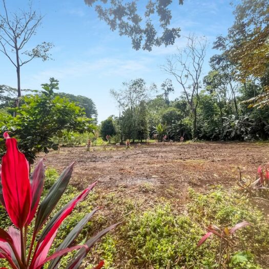 Sendero Vargas: Premium Building Lots Near Cahuita National Park