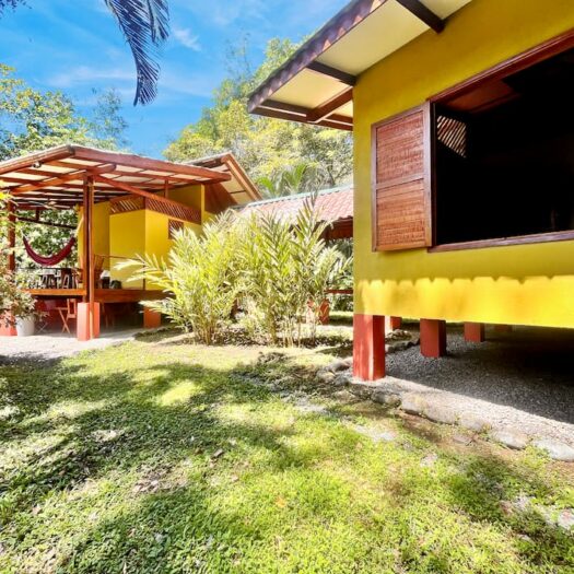 Finca Jaguares: A Pristine Jungle Estate & Income-Generating Eco-Refuge