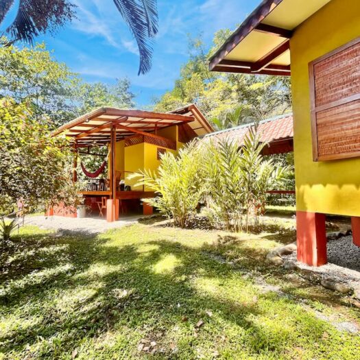 Finca Jaguares: A Pristine Jungle Estate & Income-Generating Eco-Refuge