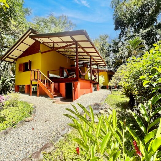 Finca Jaguares: A Pristine Jungle Estate & Income-Generating Eco-Refuge