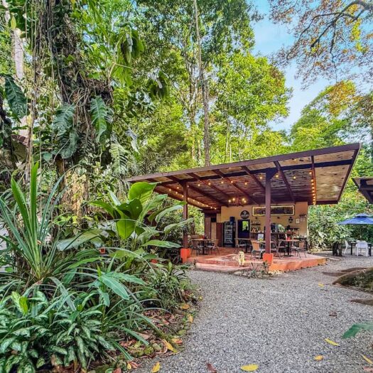 The Manzanillo Gateway: A Premier Commercial & Residential Opportunity!