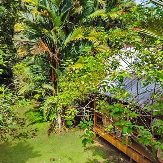 Finca Duas Casas: Jungle Estate with Dual Residences in Hone Creek