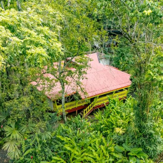 Jardín de Palmas Estate: Multi-Unit Income Estate