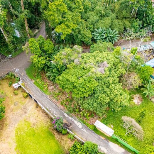 Sol y Palma Land: Prime Development Plot in the Heart of Playa Negra