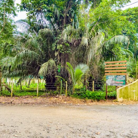 Sol y Palma Land: Prime Development Plot in the Heart of Playa Negra