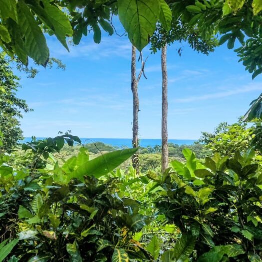 Costa Azul Cocles: Ocean View Multi-Unit Residential Property in Cocles