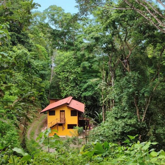 Casita del Bosque
