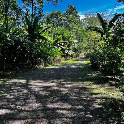 Cahuita Verde Tierra: Prime 2,000 m² Land in a Perfect Location